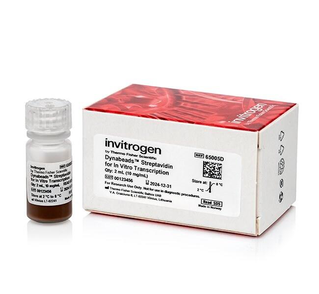 Dynabeads Streptavidin for In Vitro Transcription | 製品情報